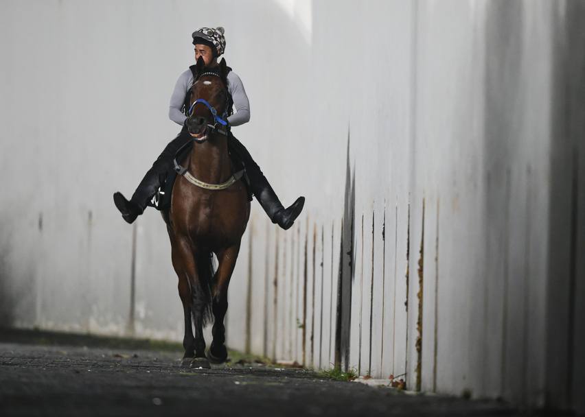 Singapore, cavallo e fantino al termine di una gara al Kranji Racecourse (Getty Images)